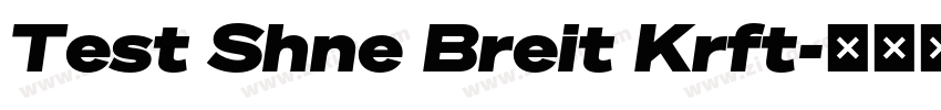 Test Shne Breit Krft字体转换